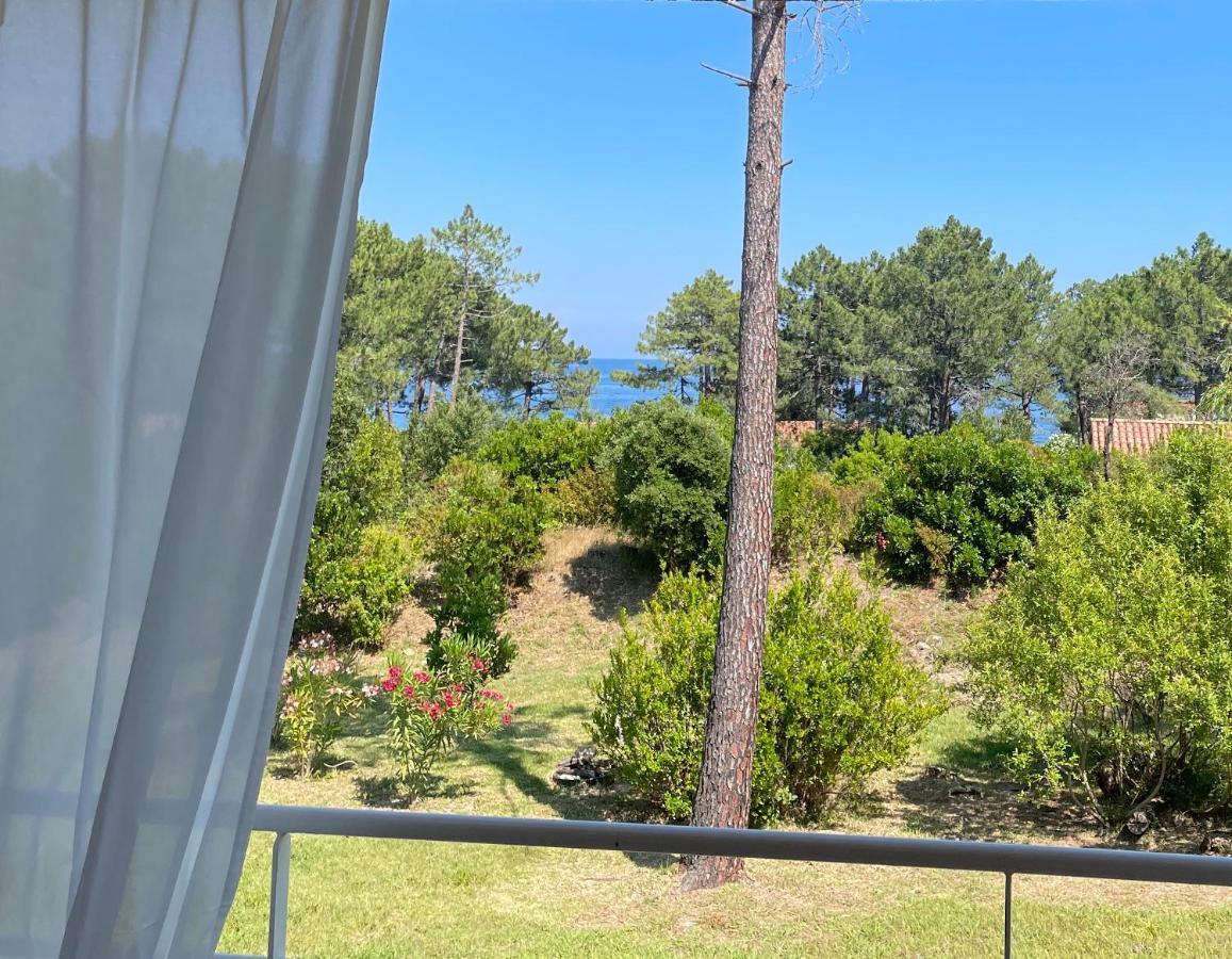 Domaine De Pianiccia Διαμέρισμα Favone Εξωτερικό φωτογραφία