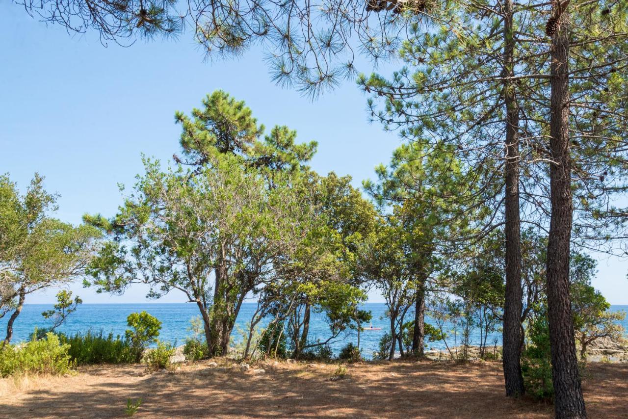 Domaine De Pianiccia Διαμέρισμα Favone Εξωτερικό φωτογραφία